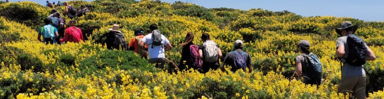 Hiking: Tomales Point Trail