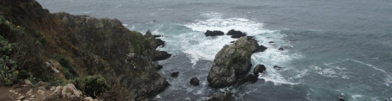 Hiking: Tomales Point